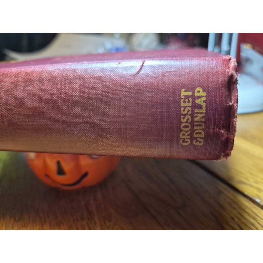 1919 Book Titled "JEREMY" First Edition With Illistrations - Picture 6 of 16